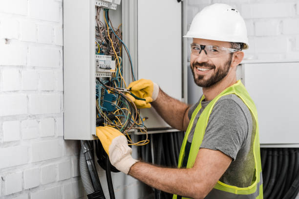 Best Electric Panel Repair  in Leesburg, GA